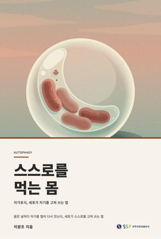 스스로를 먹는 몸