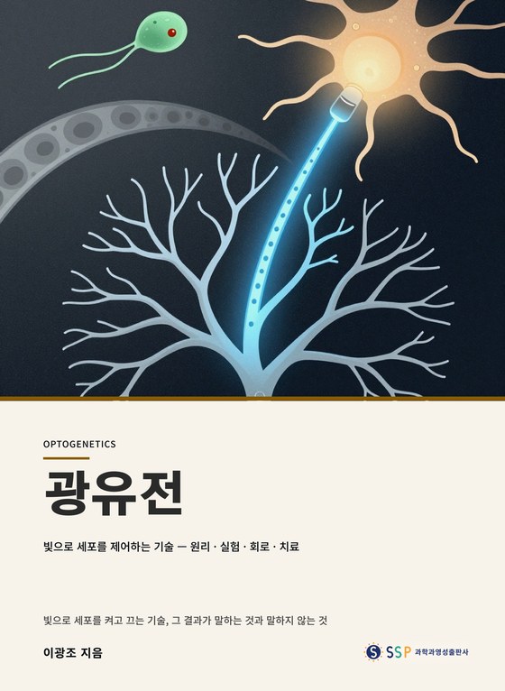 광유전